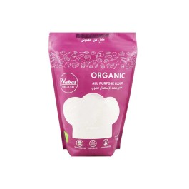 Nabat Organic Organic All Purpose Gulten Free Flour Mix