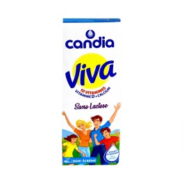 Candia Viva Demi-ecreme Lactose Free